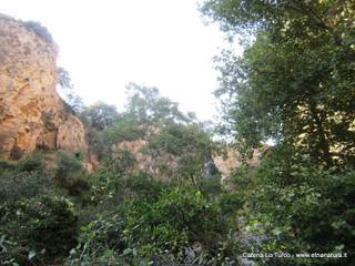 stoleone-31-08-2015 09-07-48
